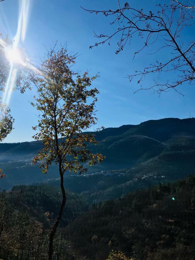 "Casa Da Russa" Mountain Experience Guest House Vila Real Ngoại thất bức ảnh